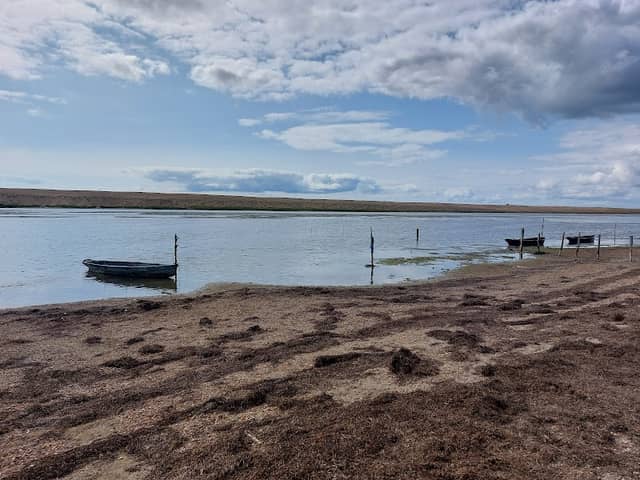 The Fleet Lagoon - Image 3