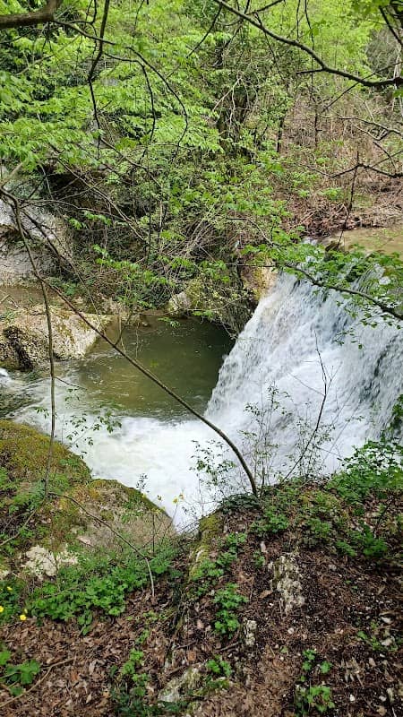 Гюл Пунар - Image 1