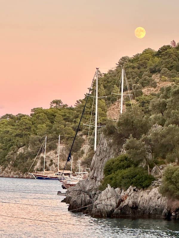 Goat Bay - Image 1