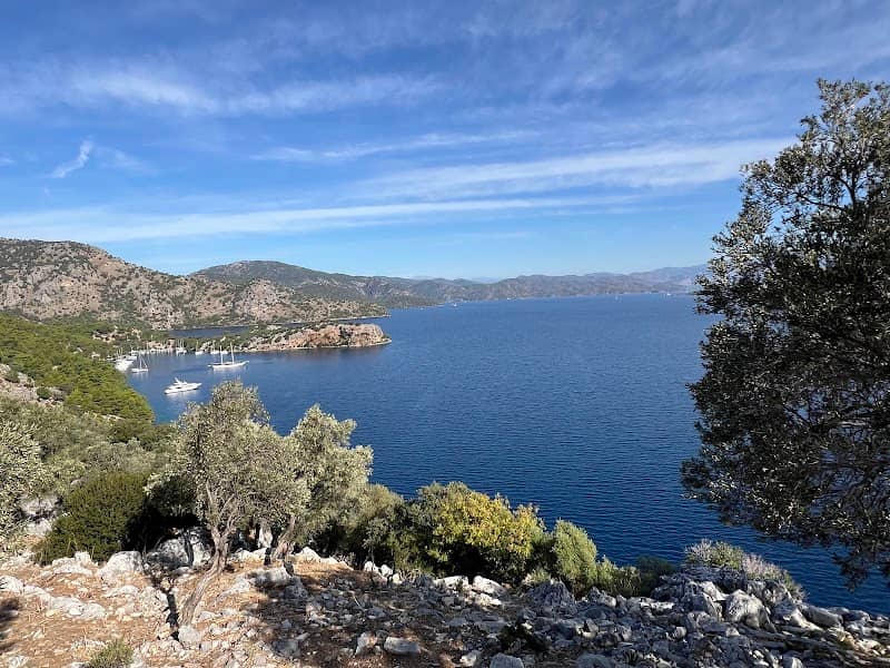 Goat Bay - Image 2