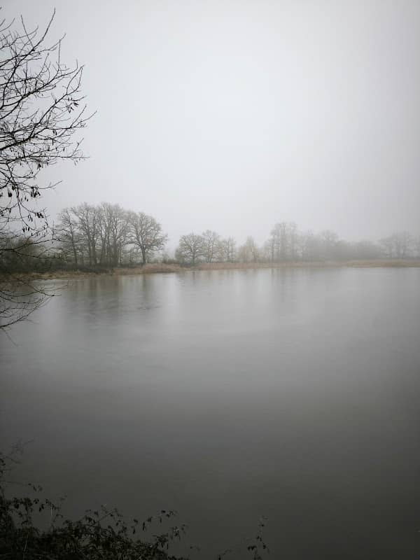 Étang de Marvy - Image 1