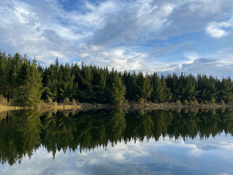 Laguna Blas Reyes - Image 1
