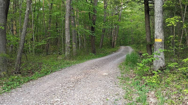 Meadow Mountain Trail - Image 1