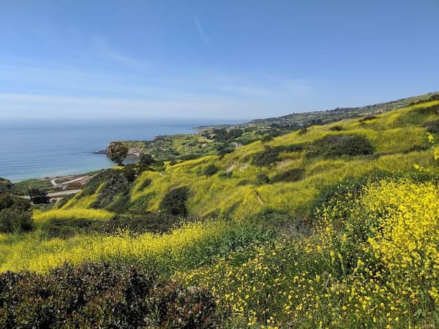 Ladera Linda Park - Image 1