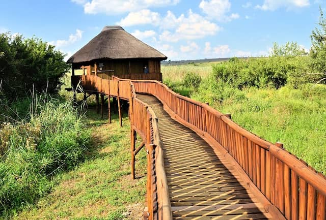 Finfoot Bird Hide - Image 2