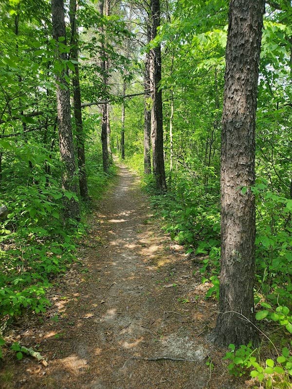 Lake Erin Loop Trail - North Country Trail trailhead - Image 2