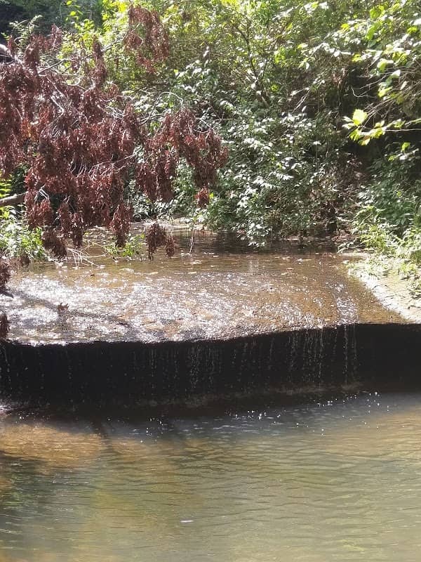 Bellerive Bird Sanctuary - Image 2