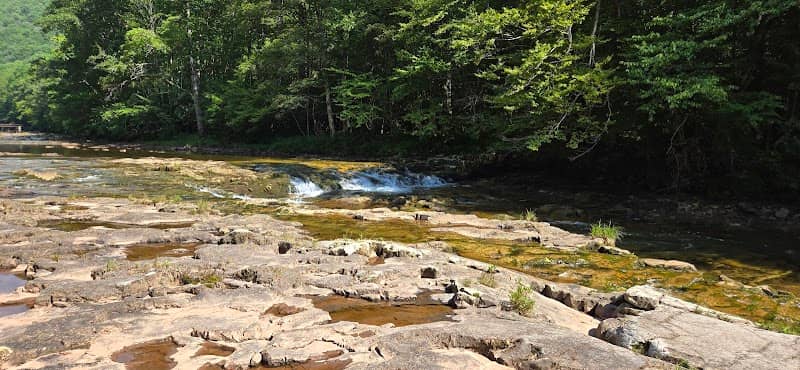Whitaker Falls - Image 2