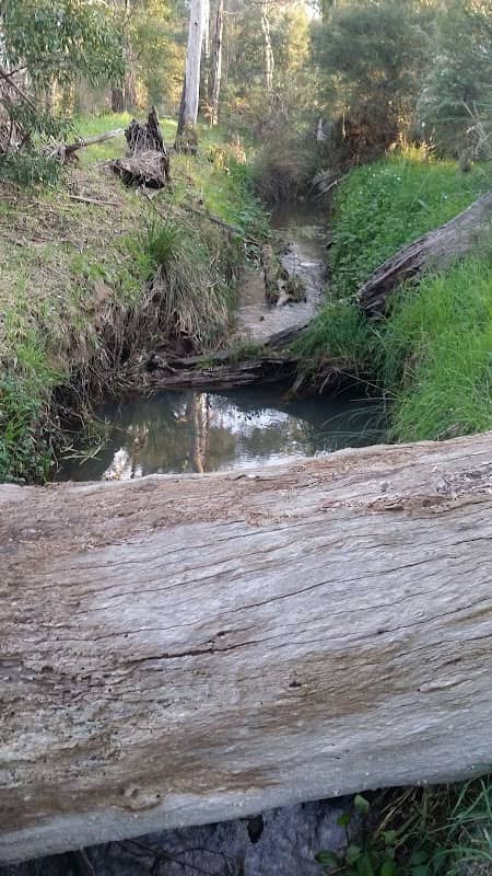 Wandin Yallock Creek Reserve - Image 2