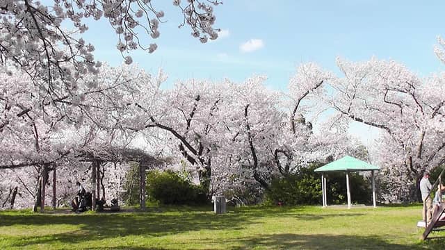 Takiya Park - Image 1