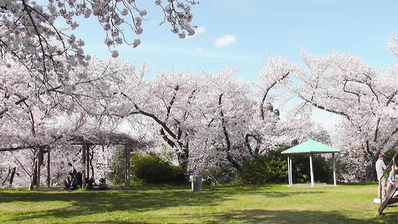 Takiya Park - Image 1