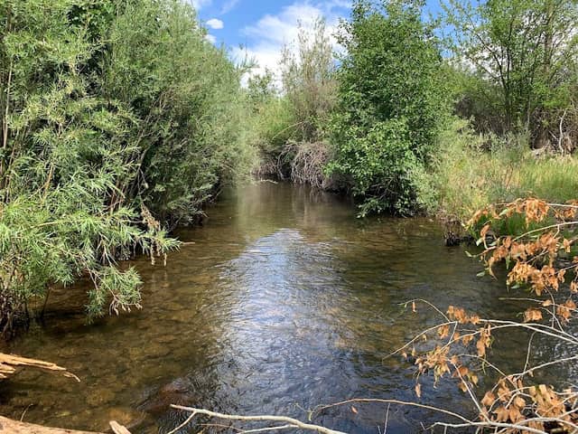 Cottonwood Park - Image 1