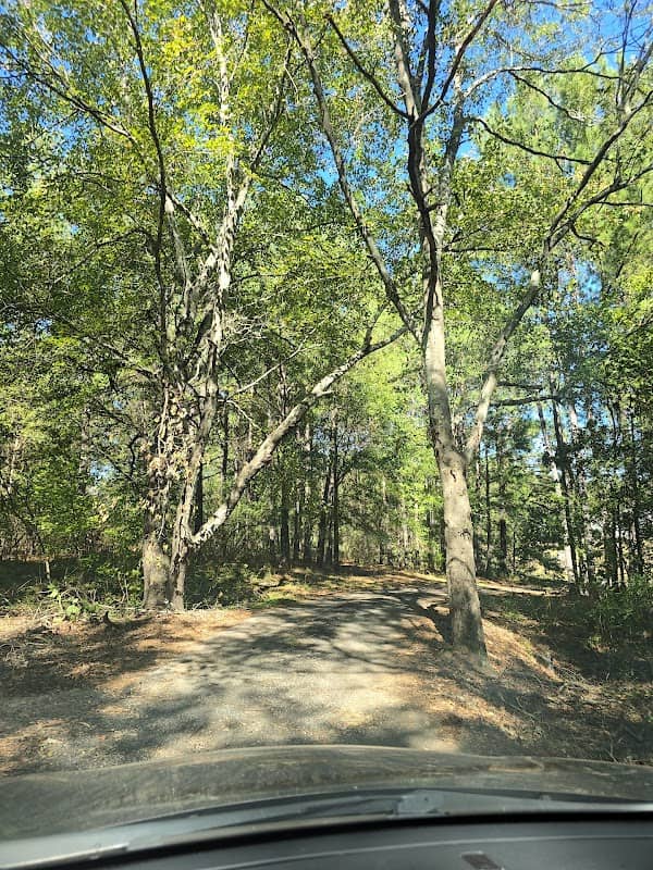 Dragonfly Acres - Home - Image 1