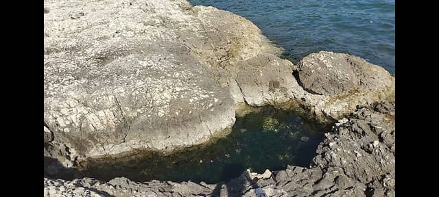 Bassin Emille IV - Image 1