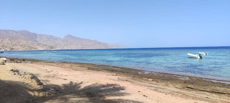 دهب - Image 1