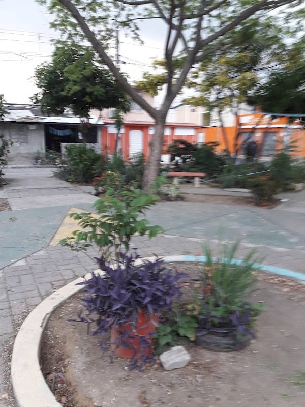 Parque - Image 1