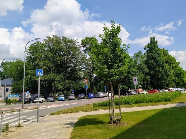 Buky Bedřicha Smetany - Image 2