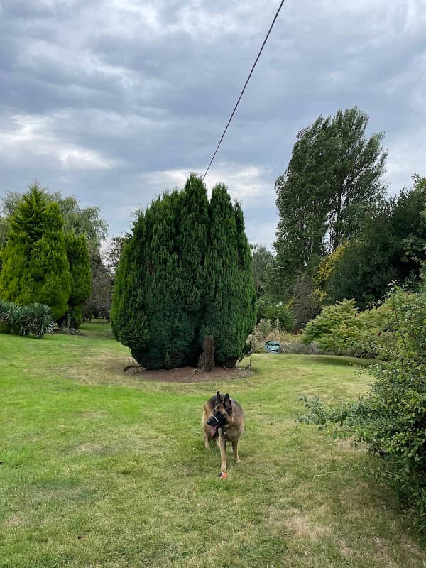 Paws Adventure Park - Image 1
