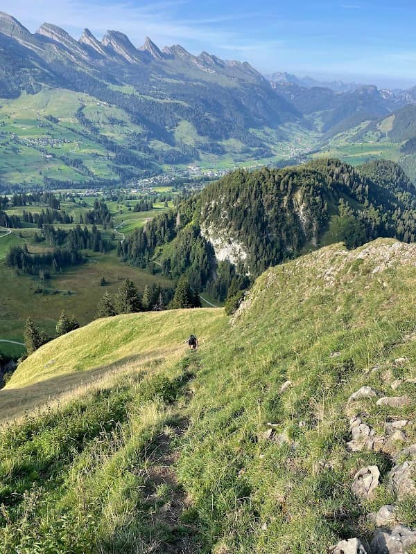Wildhuser Schafberg - Image 3