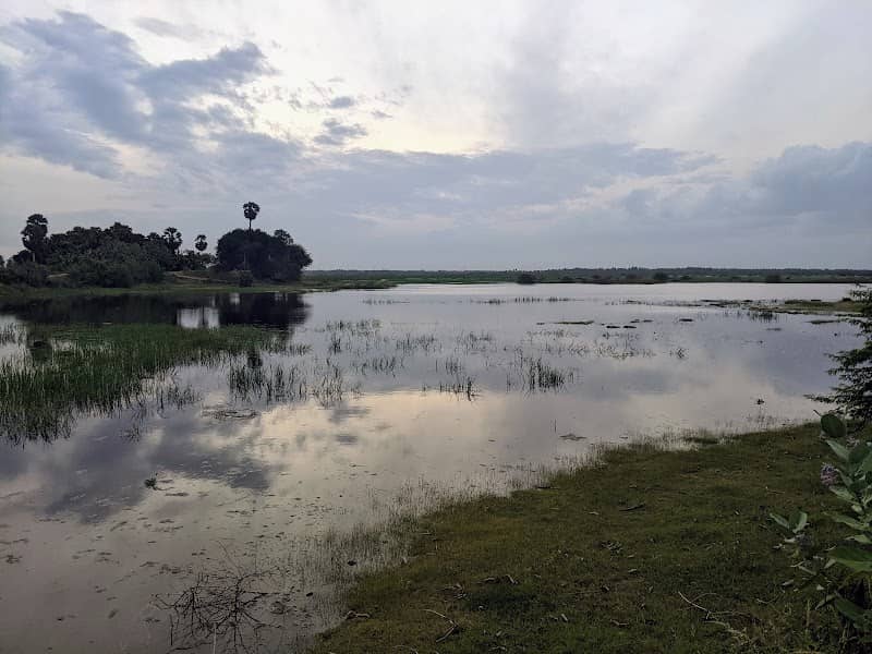 Thirumeni Lake - Image 2