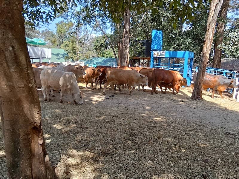 Jamhuri Park - Image 1