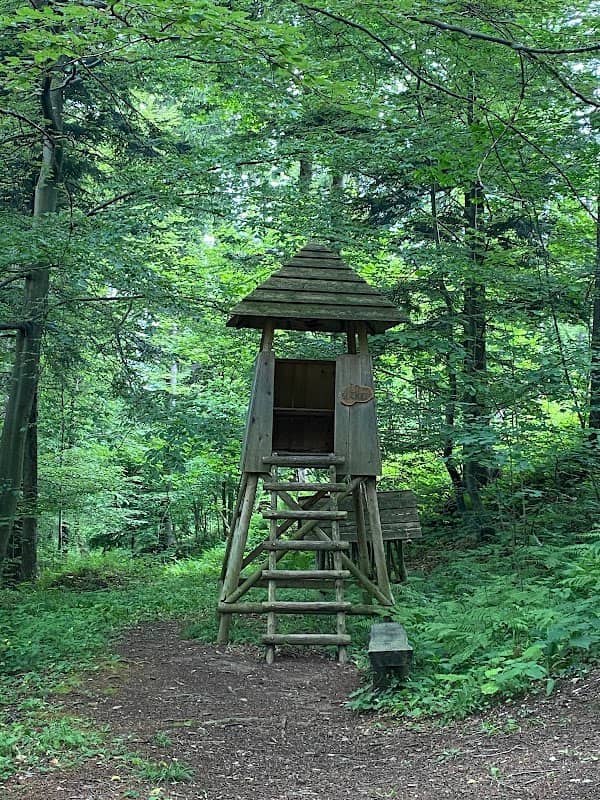 Zmajčkova gozdna učna pot - Image 2