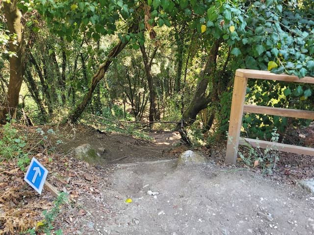 Treppe zum Wasserfall - Image 2