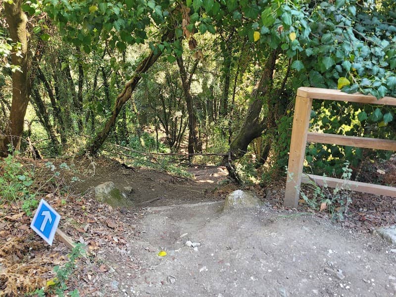 Treppe zum Wasserfall - Image 2