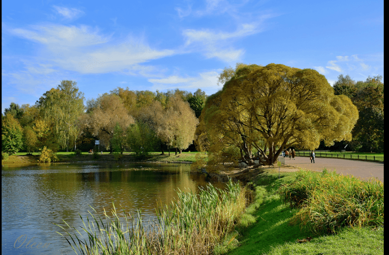 Main Botanical Garden of the Russian Academy of Sciences - Image 2