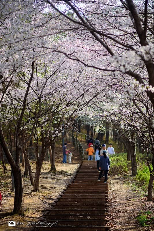 용곡공원 - Image 1
