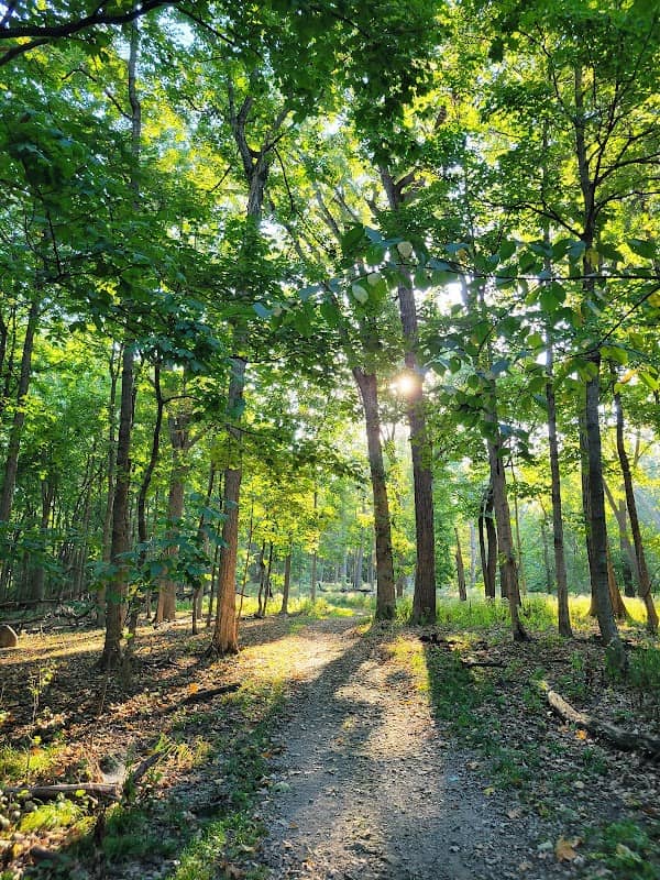 O'Hara Woods Preserve - Image 2