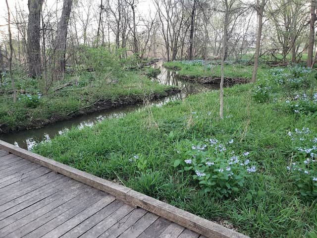 O'Hara Woods Preserve - Image 1