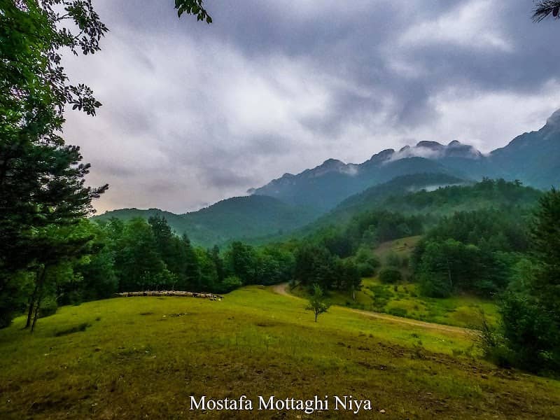 MiyonVisheh - Image 1