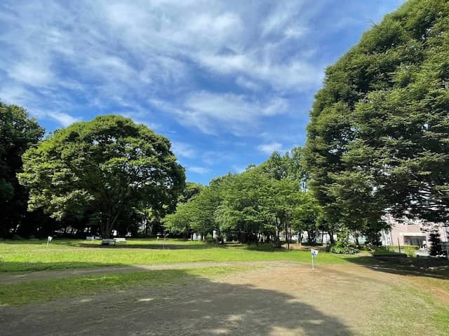 Shimada Park - Image 1