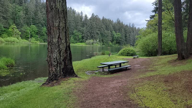 Fallen Leaf Lake Park - Image 2