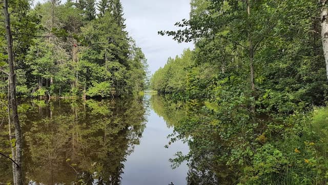 Naturreservatet Gropholmarna - Image 1
