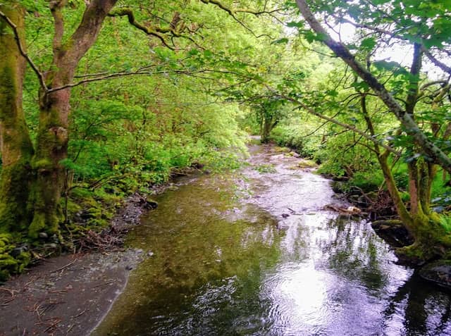 Afon Leri - Image 1