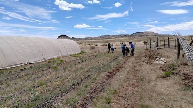 Dilkon Field - Image 1