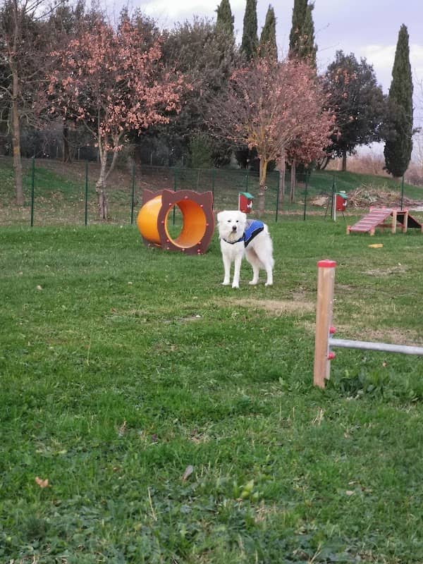 parco giochi - Image 1