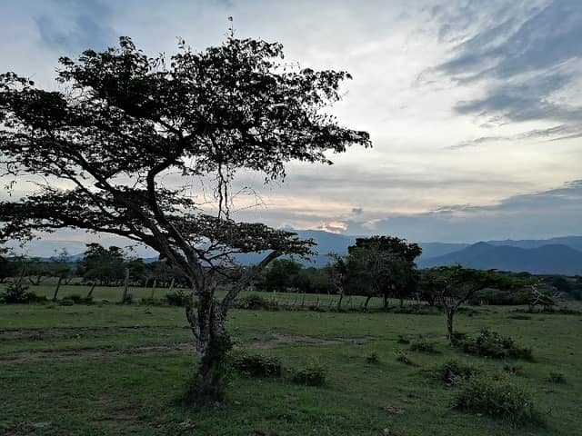 La arenosa - Image 1