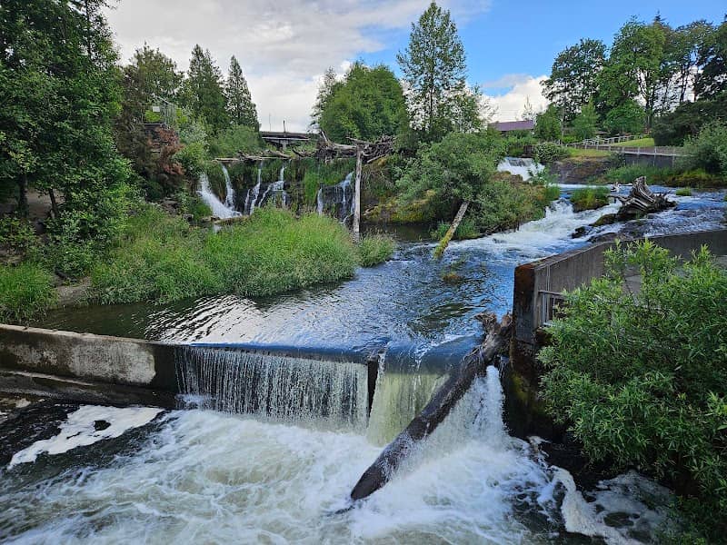 Tumwater Falls - Image 1