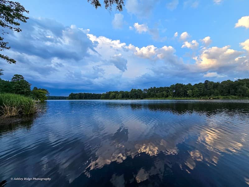 Bringle Lake - Image 2