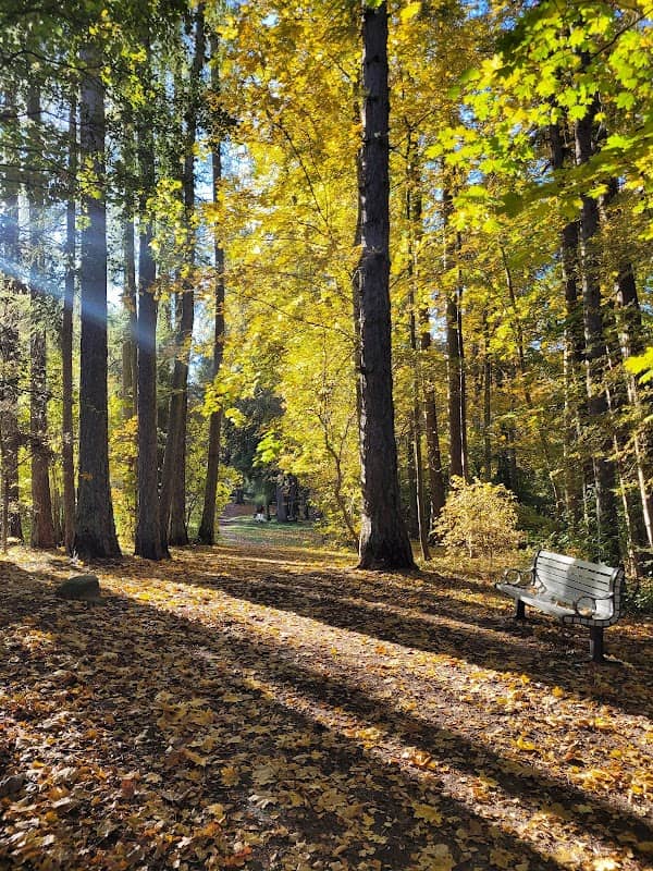 Durbe castle park - Image 1