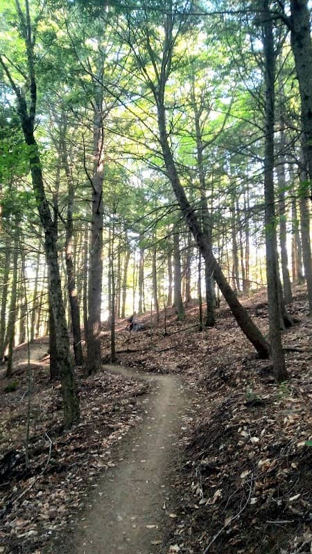North Branch River Park - Image 1