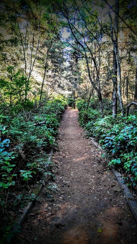 Northcrest Park - Image 1