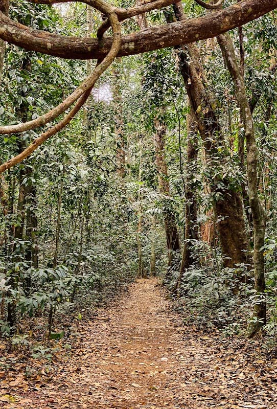 Panamkuzhy Eco Tourism Center, Kochi - Image 1