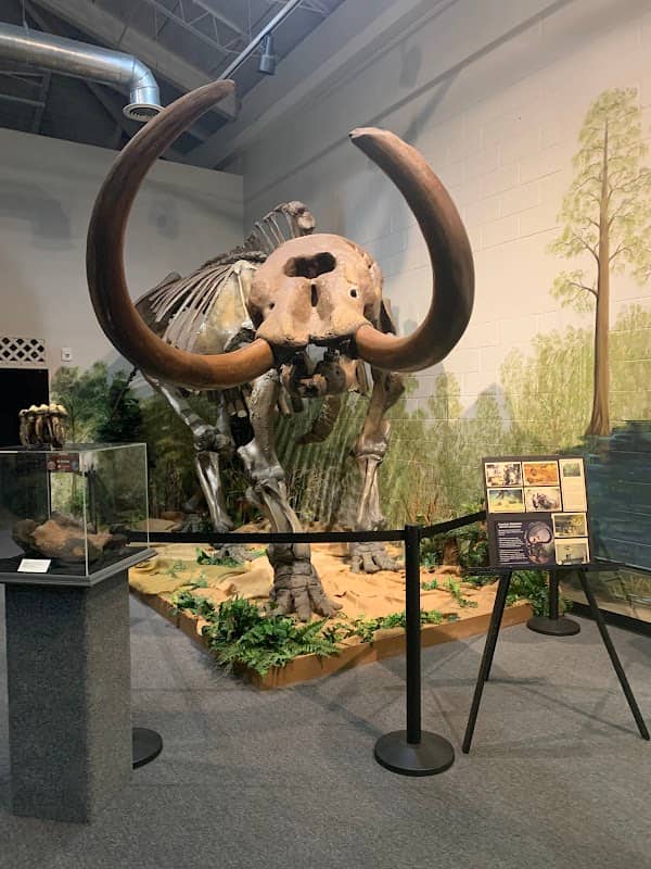 Brevard Museum of History and Natural Science - Image 2
