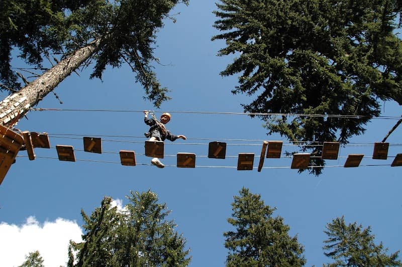 Adrenatur - Fun Forest - Image 1