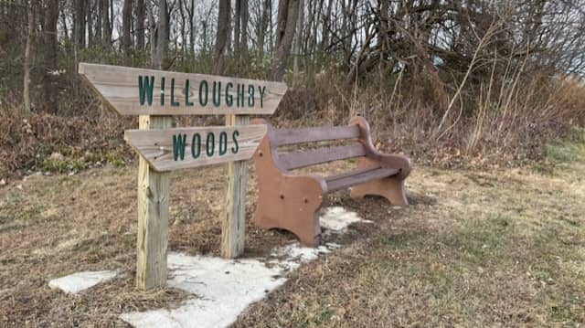 Willoughby Woods - Image 1