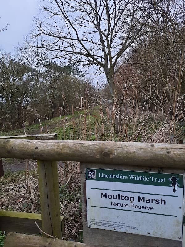 Moulton Marsh Nature Reserve - Image 2